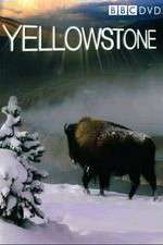 Watch Yellowstone Niter