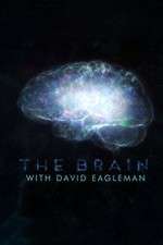 Watch The Brain with Dr David Eagleman Niter