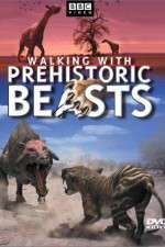 Watch Walking with Beasts Niter