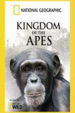 Watch Kingdom Of The Apes Niter
