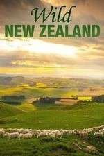Watch Wild New Zealand Niter